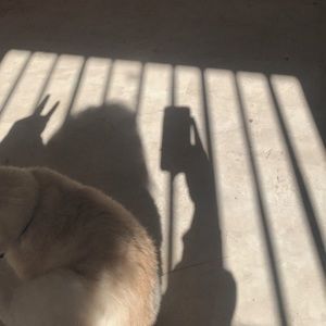 Meet your Posher, Mia